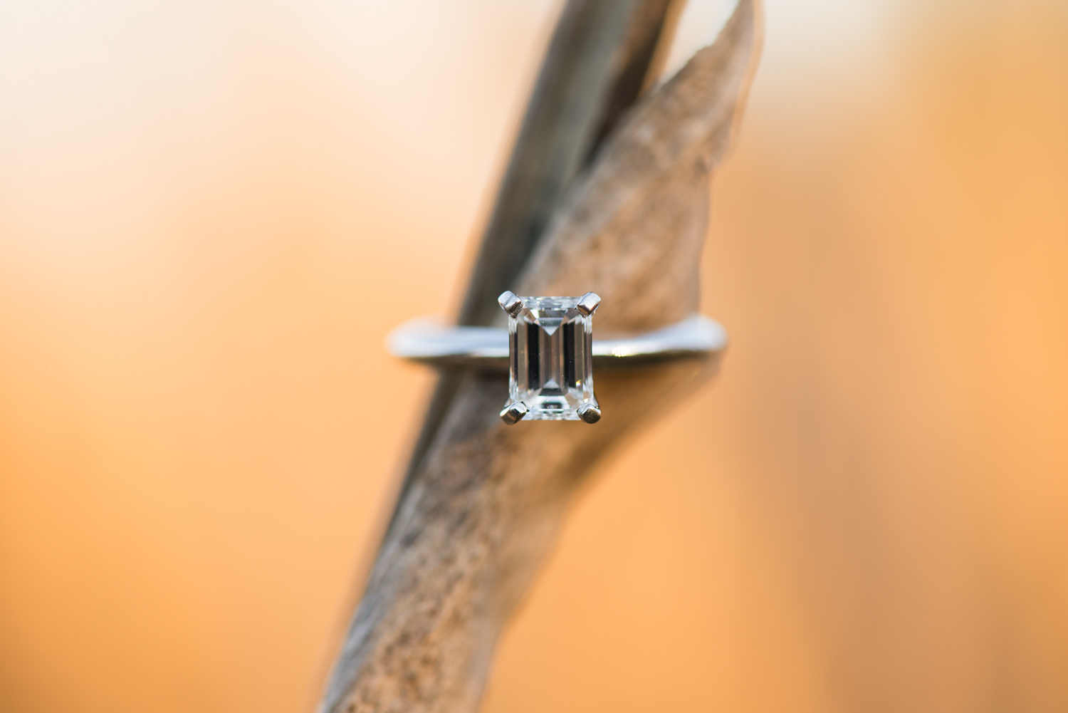 fall-engagement-ring-photos-by-lumarie